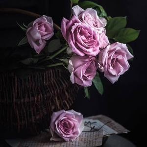 Meet your Posher, Jolanta